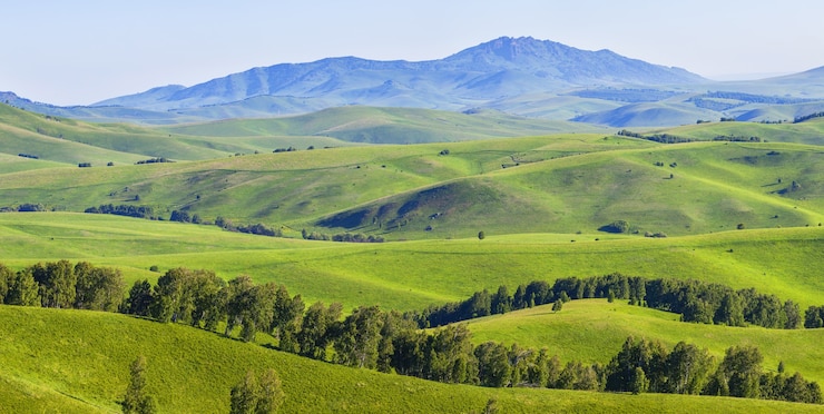 Photo paysage rural par une journée de printemps ensoleillée