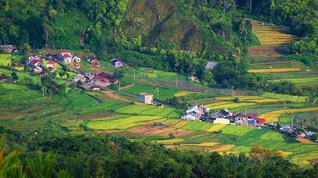 Paysage rural avec rizière et montagnes