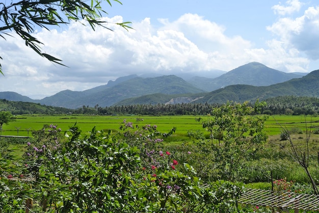Paysage rural avec rizières au Vietnam