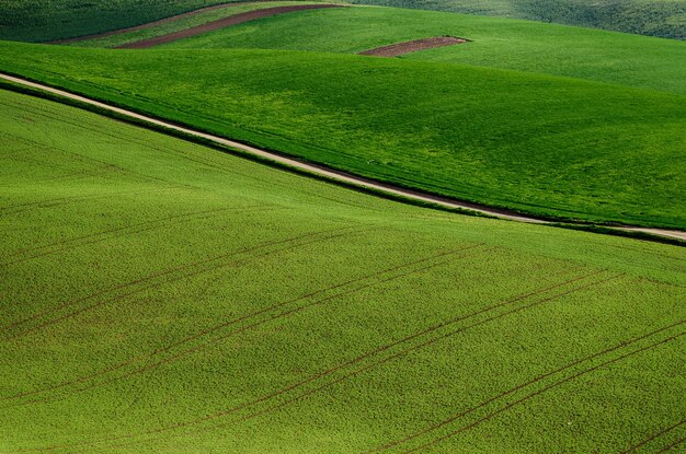 Paysage rural avec route