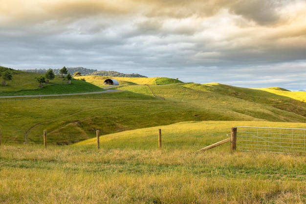 Paysage rural typique en Nouvelle-Zélande