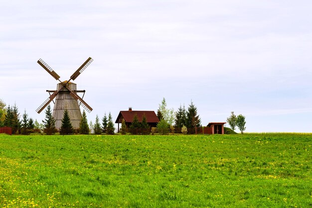 Paysage rural avec un vieux moulin à vent sur le terrain vert