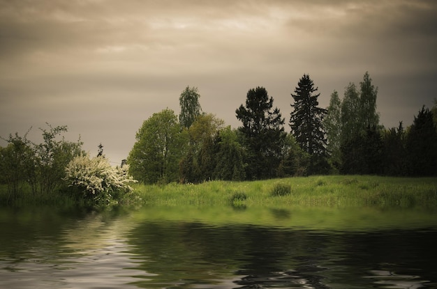 Paysage rural vintage sombre