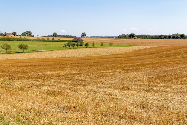 paysage rural