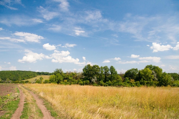 Paysage rural