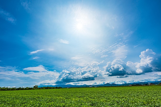 paysage rural