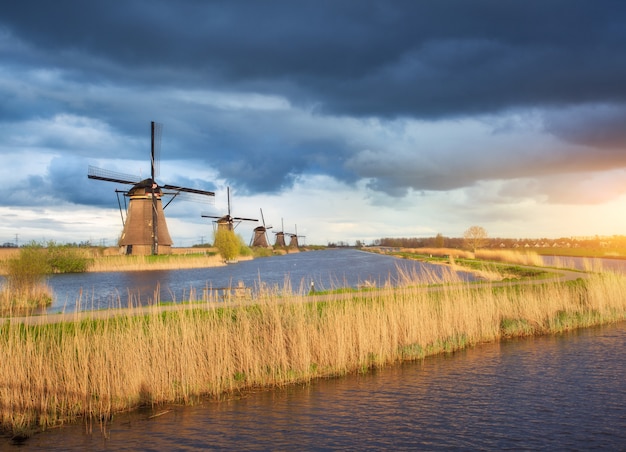Paysage rustique avec des moulins à vent hollandais traditionnels
