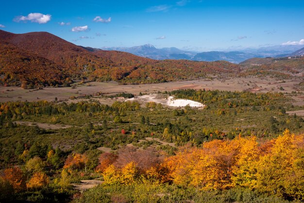 Paysage de saison d'automne avec des arbres et des plantes colorés