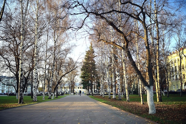 paysage de saison d'automne dans le parc, vue sur fond d'allée d'arbres jaunes