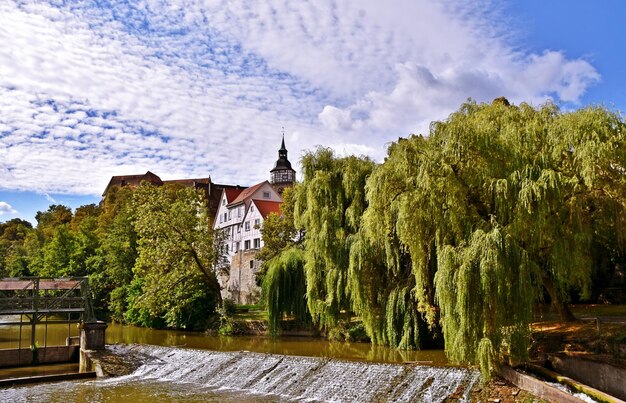 Paysage avec saules pleureurs sur la rivière Murr à Backnang