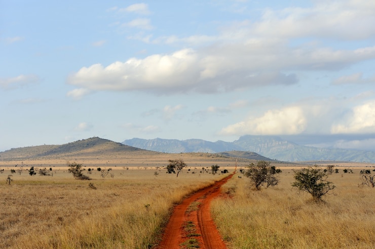 Photo paysage de savane dans le parc national du kenya, afrique