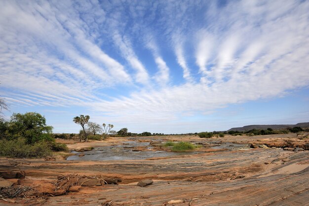 Paysage de savane dans le parc national du Kenya