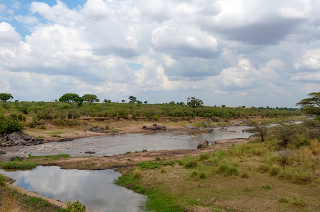 Paysage de savane avec rivière dans le parc national du Kenya, Afrique