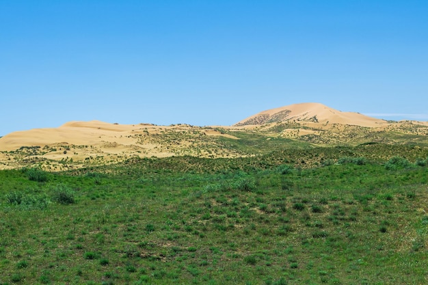 Paysage semi-désertique à proximité de la dune de sable de Sarykum