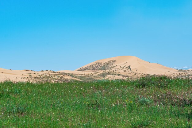 Paysage semi-désertique à proximité de la dune de sable de Sarykum