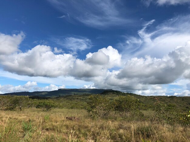 Paysage Serra do Tepequem Roraima Brésil