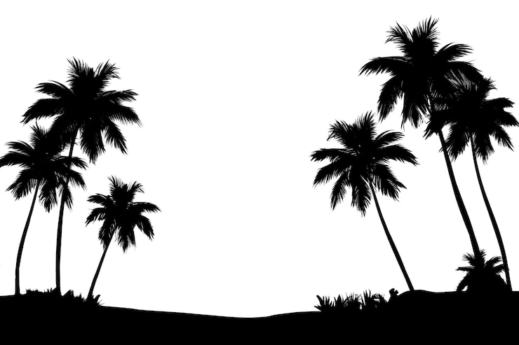 Photo paysage de silhouette de plage de palmiers de png