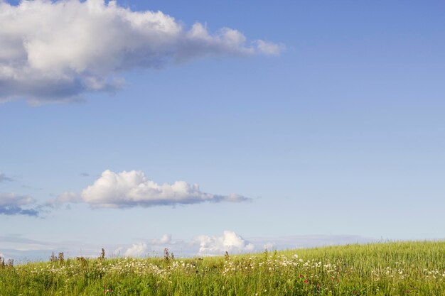 paysage de soirée d'été avec des nuages sur le terrain à la campagne