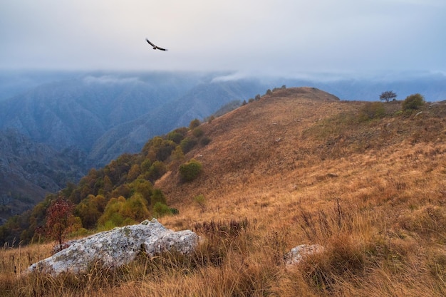 Paysage sombre dans la vallée des hautes terres sous un ciel nuageux le matin Beau paysage de montagne d'automne brumeux avec une grande pierre de granit parmi la colline rouge et les montagnes