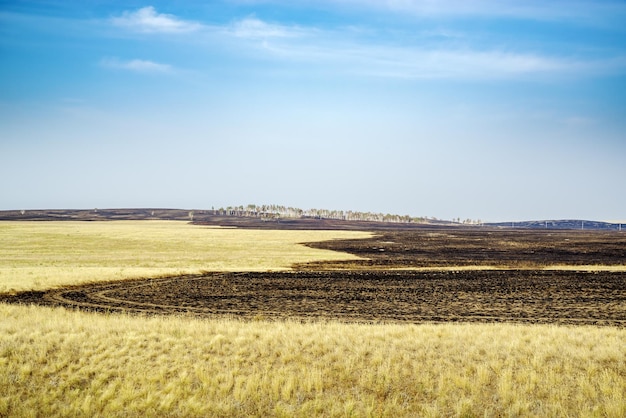 Photo paysage de steppe à la fin de l'été après un incendie la photo a été prise en russie