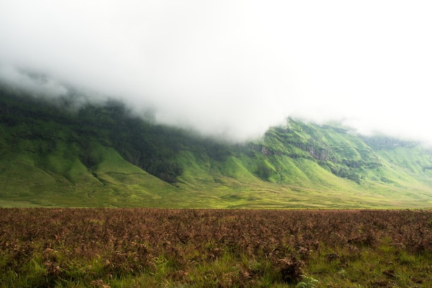 Paysage des terres anglaises