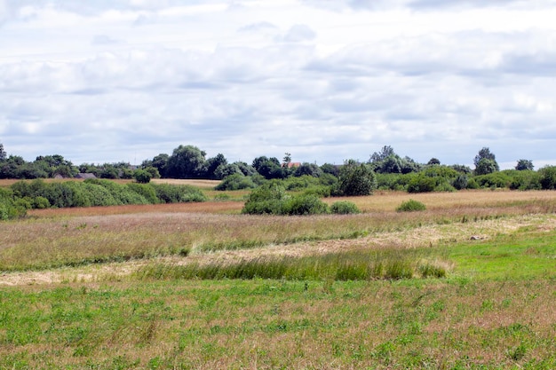 Paysage avec territoire vallonné avec des plantes