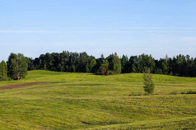 Paysage avec territoire vallonné avec des plantes