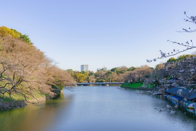 Photo le paysage de tokyo