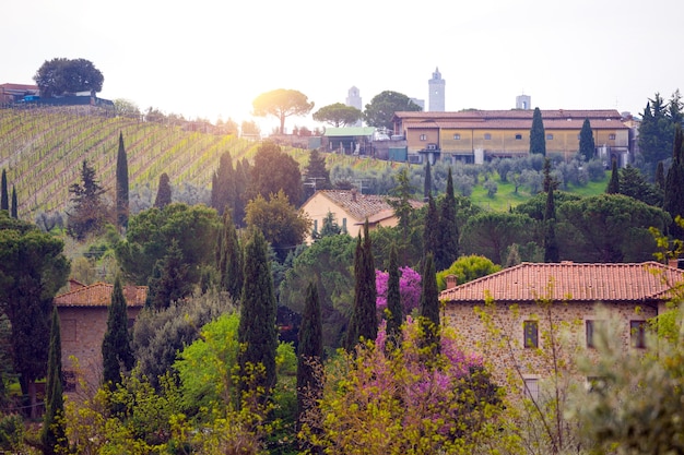 Paysage toscan typique - vue sur une villa sur une colline, une allée de cyprès et une vallée de vignes dans la province de Sienne. Toscane, Italie