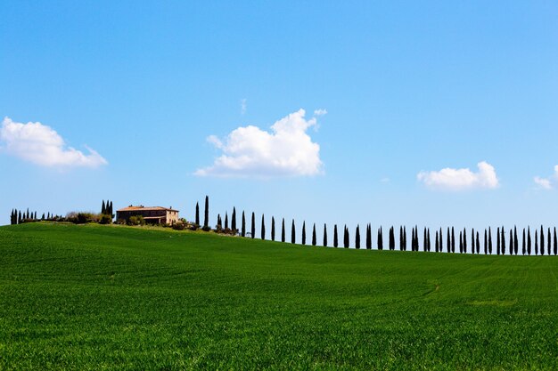 Paysage toscan typique