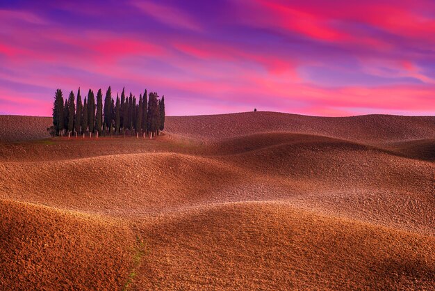 Paysage De Toscane Avec Cyprès Et Vagues De La Terre Au Coucher Du Soleil Mystérieux Fond De Paysage Naturel