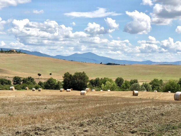 Photo paysage toscane