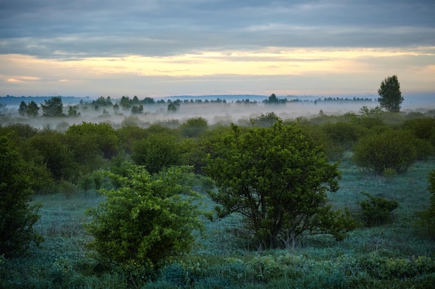 Photo paysage tôt le matin sur le terrain lever de soleil jaune avec brouillard en été