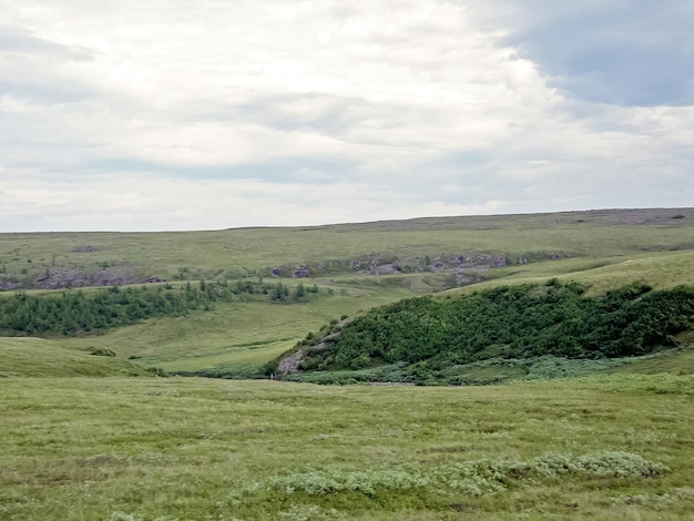 Paysage de la toundra en été La toundra d'été sur le Yamal Pe