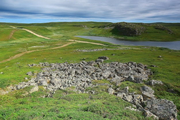 paysage toundra / paysage d'été dans la toundra nord, mousse, écosystème