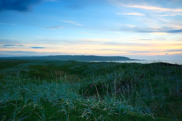 paysage toundra / paysage d'été dans la toundra nord, mousse, écosystème