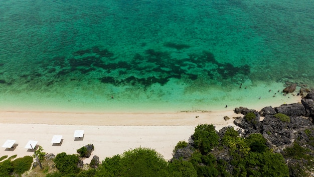 Photo paysage tropical avec une belle plage