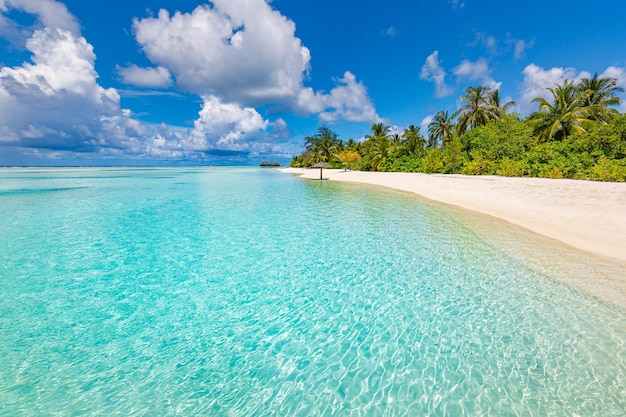 Paysage tropical des îles Maldives. Plage paradisiaque, lagon de mer incroyable, ciel ensoleillé, sable de palmiers