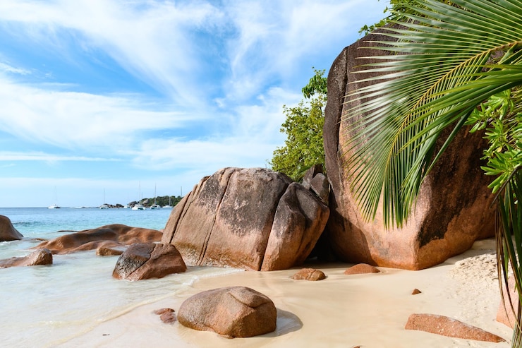 Photo paysage tropical, mer, plage d'été, palmiers