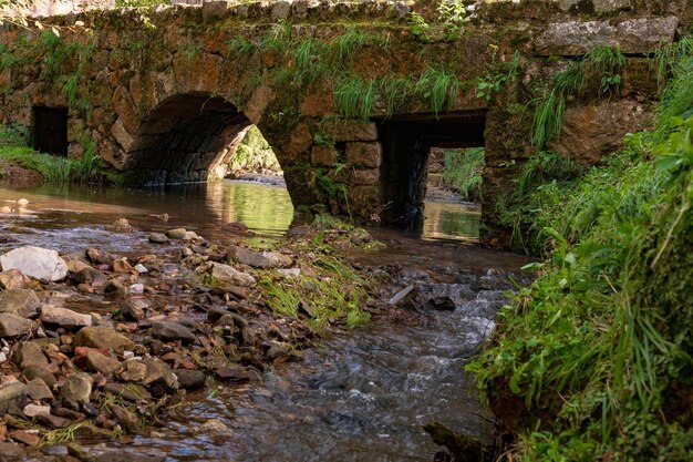 Paysage typique des Asturies Banque de Photo