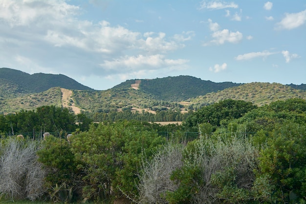 Paysage typique des montagnes du sud de la Sardaigne, complètement naturel, entouré de verdure pendant la journée.