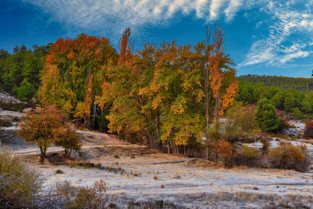 Paysage typiquement automnal dans les champs andalous