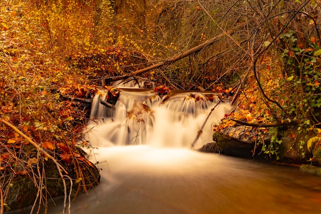 Paysage typiquement automnal dans les champs andalous