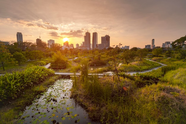 Paysage urbain au coucher du soleil dans le parc forestier de Benchakitti Parc forestier de Benchakitti Bangkok