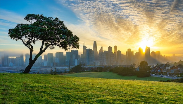 Photo un paysage urbain à couper le souffle avec de l'herbe verte et un arbre