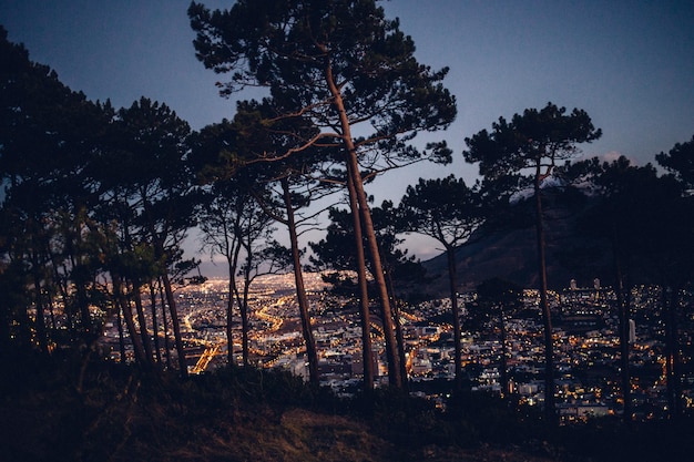 Le paysage urbain éclairé vu à travers les arbres au crépuscule