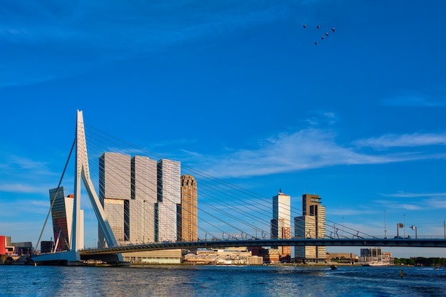Paysage urbain de Rotterdam, Pays-Bas