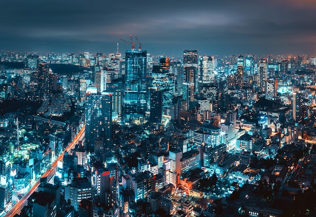 Paysage urbain de la ville de Tokyo