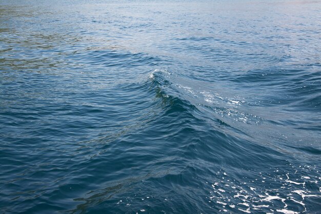 Paysage de vagues de la mer