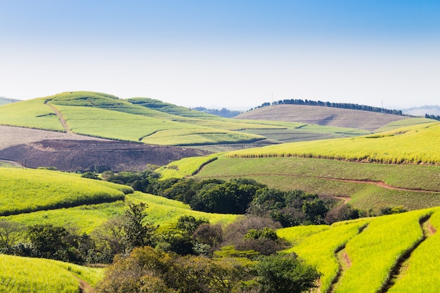 Paysage de la vallée aux mille collines. Monument sud-africain près de Durban.